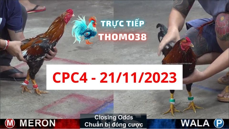 Đá gà CPC4 21-11-2023