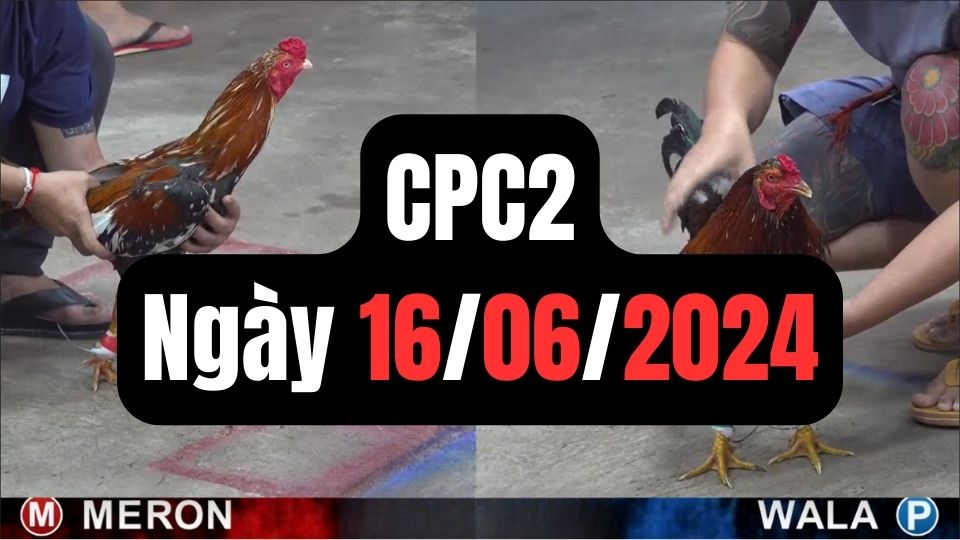 Đá gà CPC2 16-06-2024