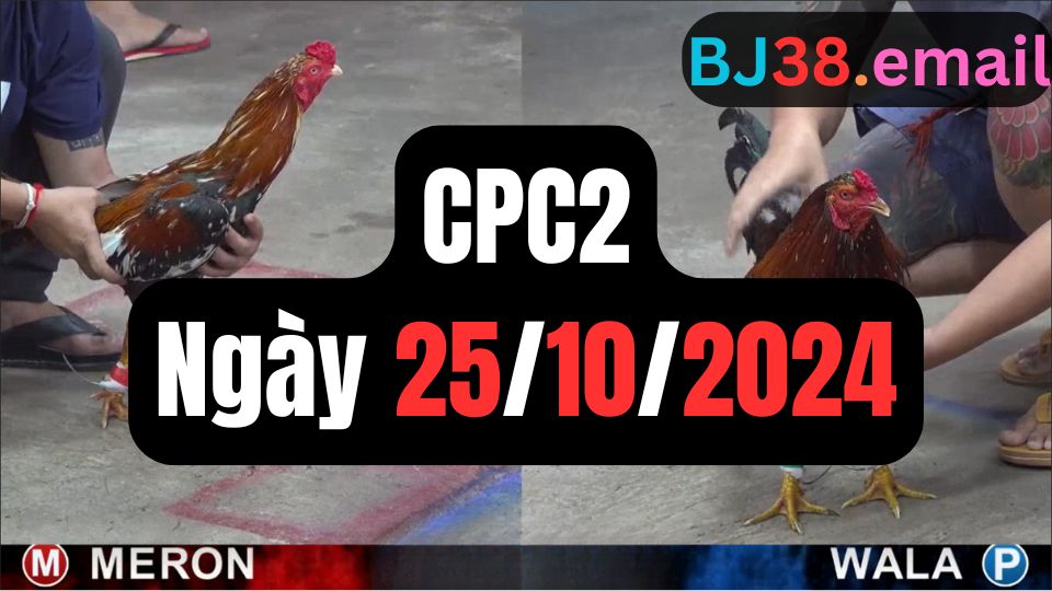 Đá gà CPC2 25-10-2024