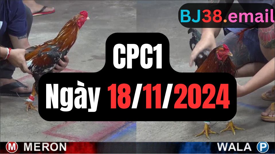 Đá gà CPC1 18-11-2024