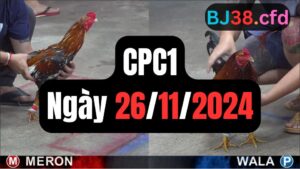 Đá gà CPC1 26-11-2024