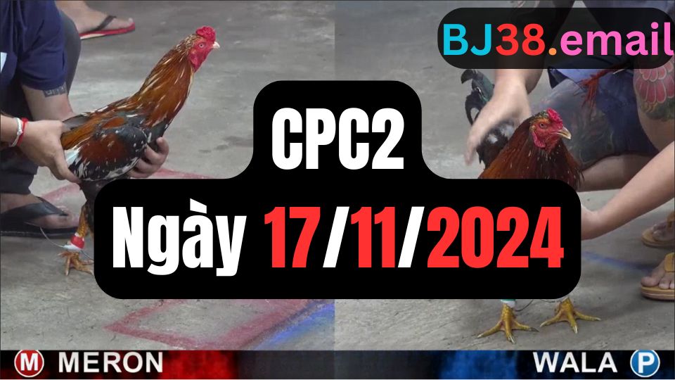 Đá gà CPC2 17-11-2024