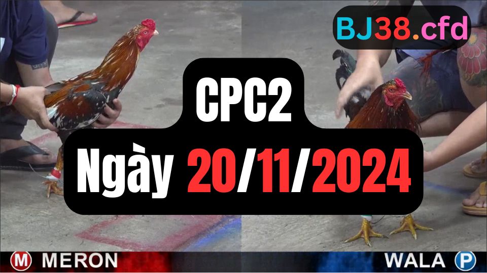 Đá gà CPC2 20-11-2024