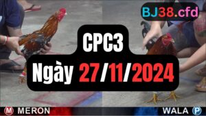 Đá gà CPC3 27-11-2024