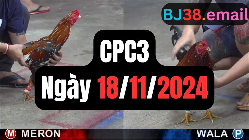 Đá gà CPC3 18-11-2024