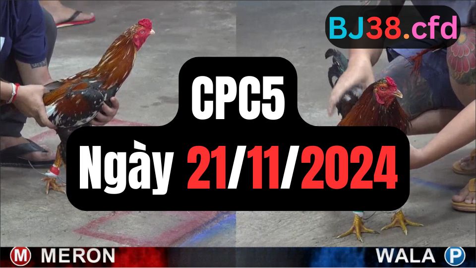 Đá gà CPC5 21-11-2024