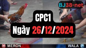 Đá gà CPC1 26-12-2024