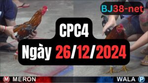 Đá gà CPC4 26-12-2024